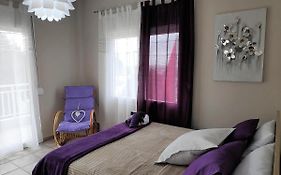Cozy Apartments